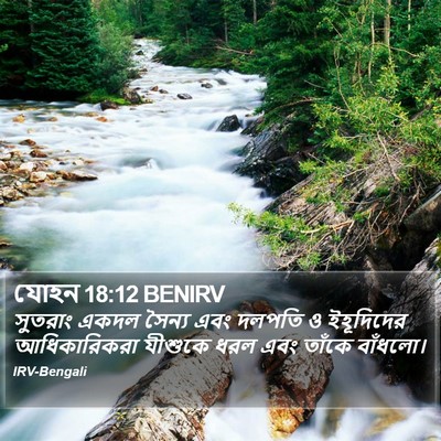 যোহন 18:12 BENIRV Bible Verse Image