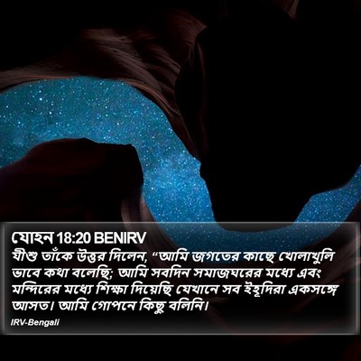 যোহন 18:20 BENIRV Bible Verse Image