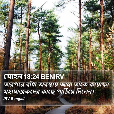 যোহন 18:24 BENIRV Bible Verse Image