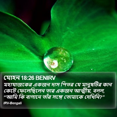 যোহন 18:26 BENIRV Bible Verse Image
