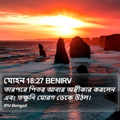 যোহন 18:27 BENIRV Bible Verse Image