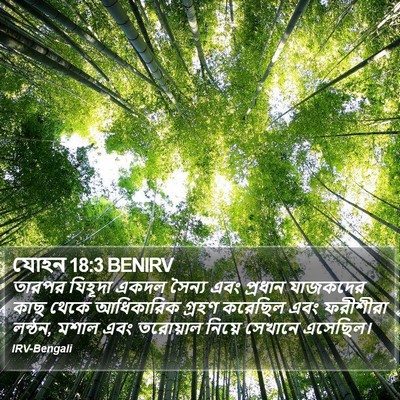 যোহন 18:3 BENIRV Bible Verse Image