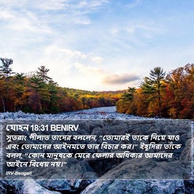যোহন 18:31 BENIRV Bible Verse Image