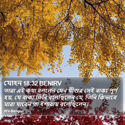 যোহন 18:32 BENIRV Bible Verse Image
