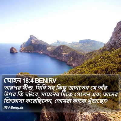 যোহন 18:4 BENIRV Bible Verse Image