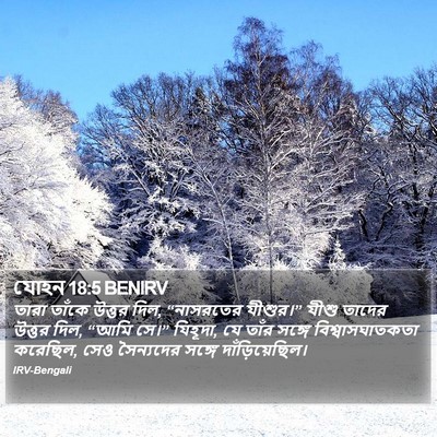 যোহন 18:5 BENIRV Bible Verse Image