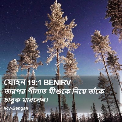 যোহন 19:1 BENIRV Bible Verse Image