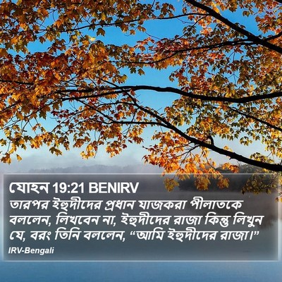 যোহন 19:21 BENIRV Bible Verse Image