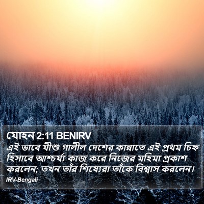 যোহন 2:11 BENIRV Bible Verse Image