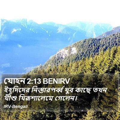 যোহন 2:13 BENIRV Bible Verse Image