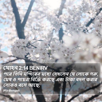 যোহন 2:14 BENIRV Bible Verse Image