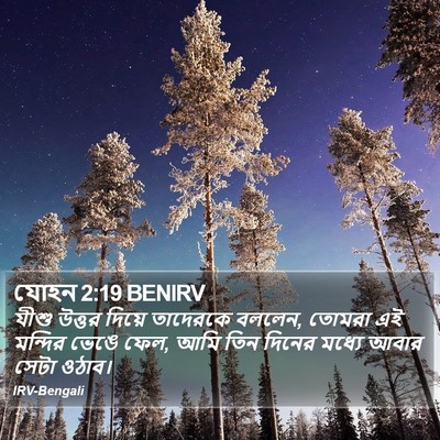 যোহন 2:19 BENIRV Bible Verse Image