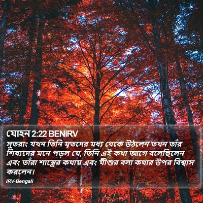 যোহন 2:22 BENIRV Bible Verse Image
