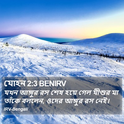 যোহন 2:3 BENIRV Bible Verse Image