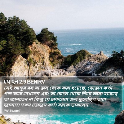 যোহন 2:9 BENIRV Bible Verse Image