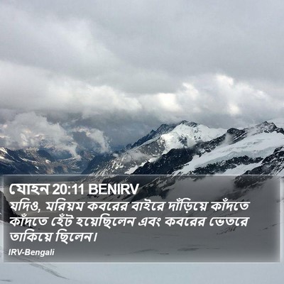 যোহন 20:11 BENIRV Bible Verse Image