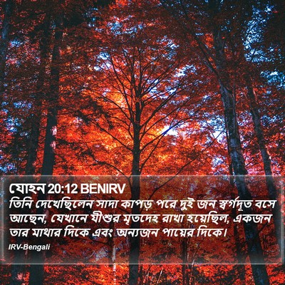 যোহন 20:12 BENIRV Bible Verse Image