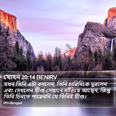 যোহন 20:14 BENIRV Bible Verse Image