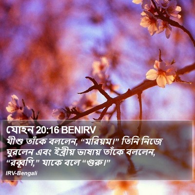 যোহন 20:16 BENIRV Bible Verse Image