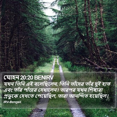 যোহন 20:20 BENIRV Bible Verse Image