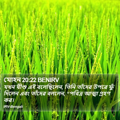 যোহন 20:22 BENIRV Bible Verse Image
