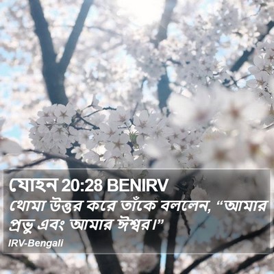 যোহন 20:28 BENIRV Bible Verse Image