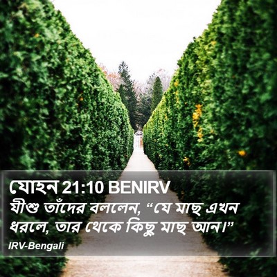 যোহন 21:10 BENIRV Bible Verse Image