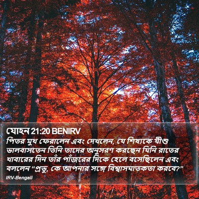 যোহন 21:20 BENIRV Bible Verse Image