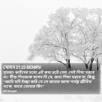 যোহন 21:23 BENIRV Bible Verse Image