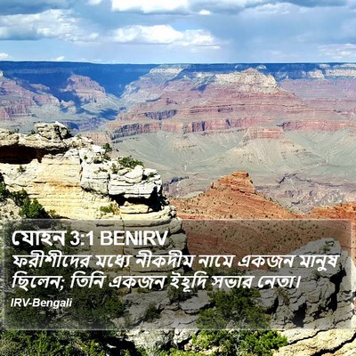 যোহন 3:1 BENIRV Bible Verse Image