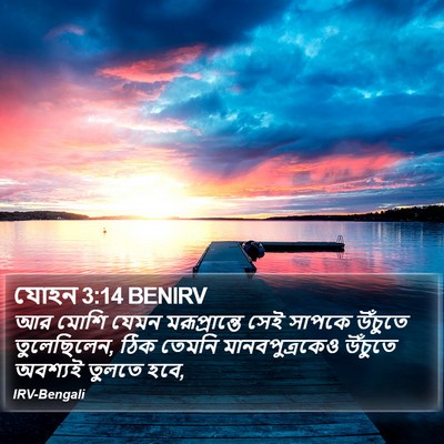 যোহন 3:14 BENIRV Bible Verse Image