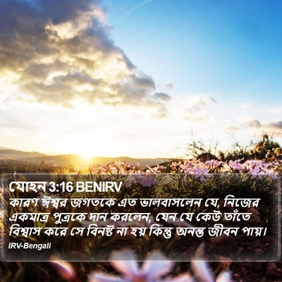 যোহন 3:16 BENIRV Bible Verse Image