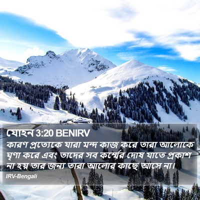 যোহন 3:20 BENIRV Bible Verse Image