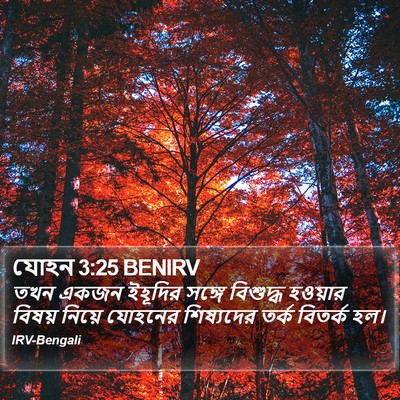 যোহন 3:25 BENIRV Bible Verse Image