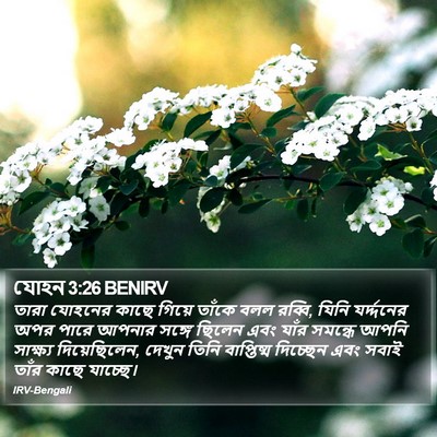যোহন 3:26 BENIRV Bible Verse Image