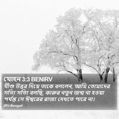 যোহন 3:3 BENIRV Bible Verse Image
