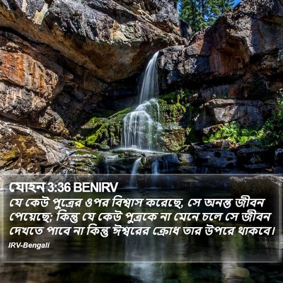 যোহন 3:36 BENIRV Bible Verse Image