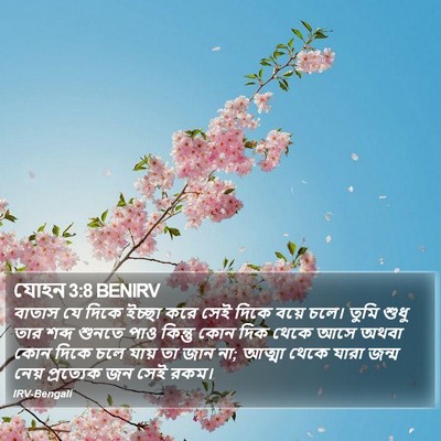 যোহন 3:8 BENIRV Bible Verse Image