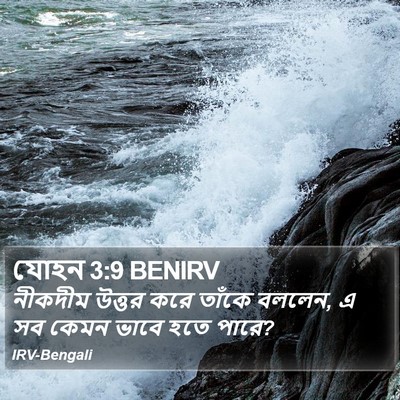 যোহন 3:9 BENIRV Bible Verse Image