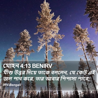 যোহন 4:13 BENIRV Bible Verse Image