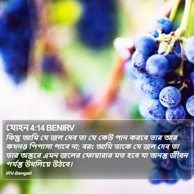 যোহন 4:14 BENIRV Bible Verse Image