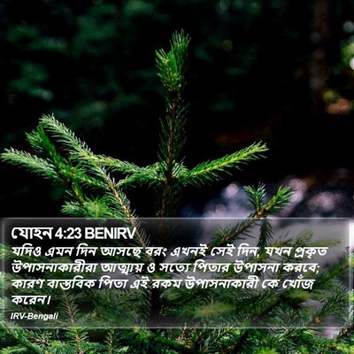 যোহন 4:23 BENIRV Bible Verse Image