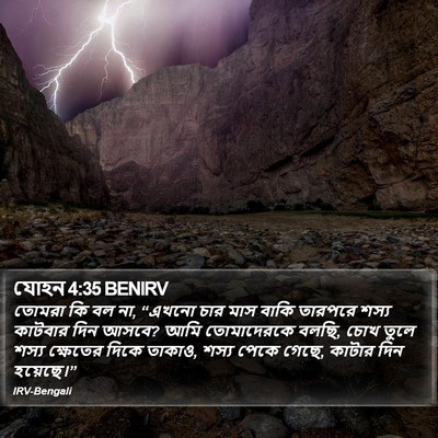 যোহন 4:35 BENIRV Bible Verse Image