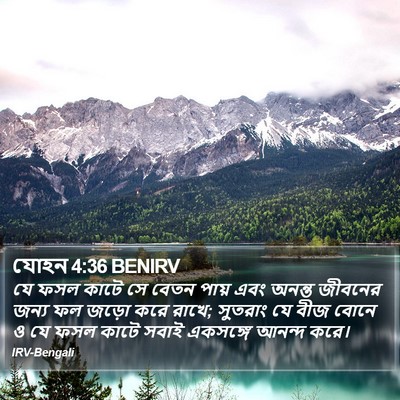 যোহন 4:36 BENIRV Bible Verse Image