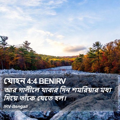 যোহন 4:4 BENIRV Bible Verse Image