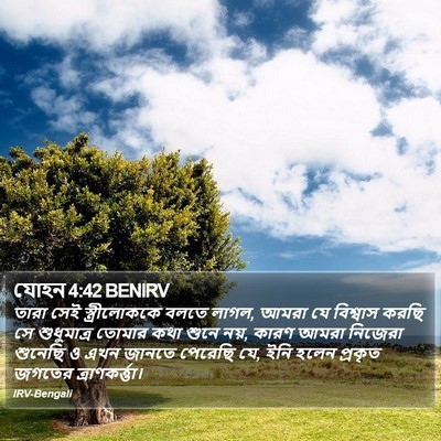 যোহন 4:42 BENIRV Bible Verse Image