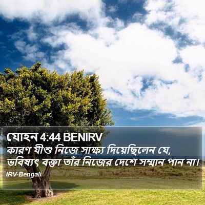 যোহন 4:44 BENIRV Bible Verse Image