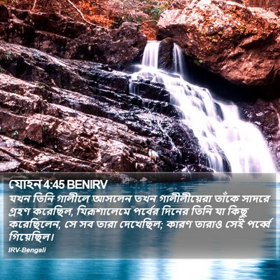 যোহন 4:45 BENIRV Bible Verse Image