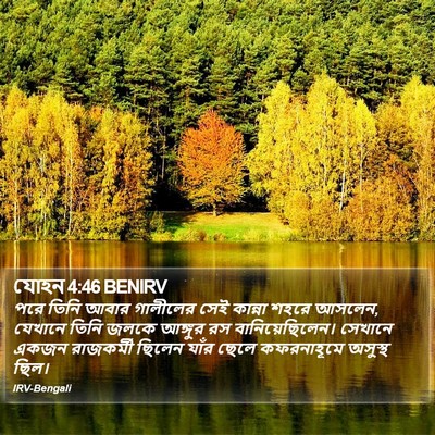 যোহন 4:46 BENIRV Bible Verse Image