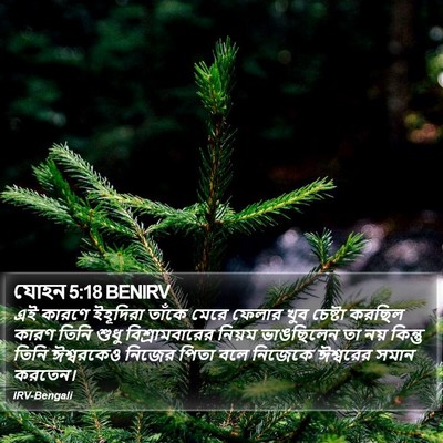 যোহন 5:18 BENIRV Bible Verse Image